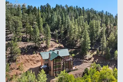 4214 Trout Creek Road, Woodland Park, CO 80863 - Photo 9