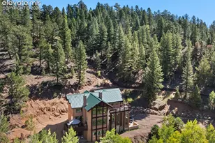 4214 Trout Creek Rd, Woodland Park, CO 80863 - Photo 9