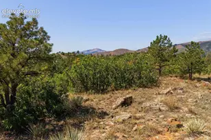 1015 Timber Valley Rd, Colorado Springs, CO 80919 - Photo 47