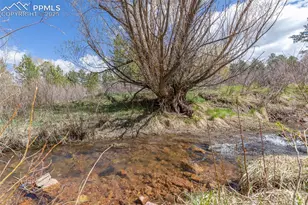 721 Forest View Rd, Monument, CO 80132 - Photo 25