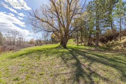 721 Forest View Road, Monument, CO 80132 - Photo 23