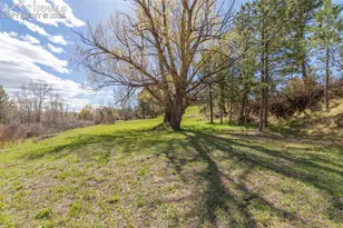 721 Forest View Rd, Monument, CO 80132 - Photo 23