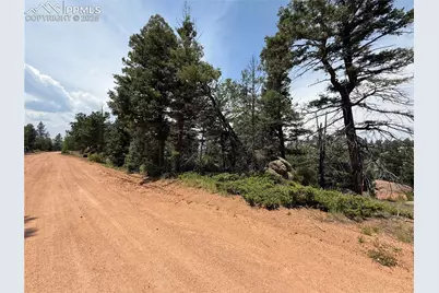 3546 N Mountain Estates Road, Florissant, CO 80816 - Photo 1