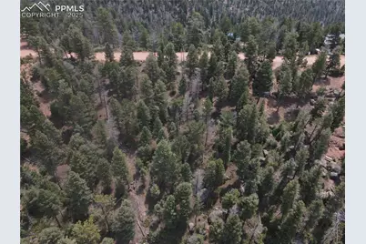 3546 N Mountain Estates Road, Florissant, CO 80816 - Photo 11