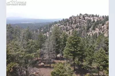 3546 N Mountain Estates Road, Florissant, CO 80816 - Photo 17