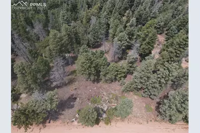 3546 N Mountain Estates Road, Florissant, CO 80816 - Photo 15