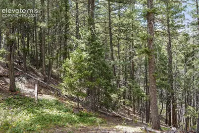 15947 S Perry Park Road, Larkspur, CO 80118 - Photo 5