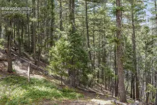 15947 S Perry Park Rd, Larkspur, CO 80118 - Photo 5