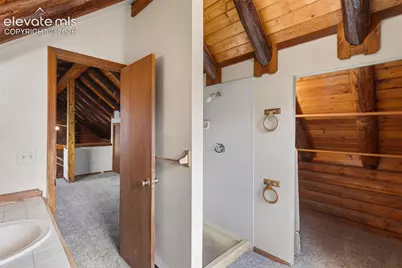258 Appian Way, Florissant, CO 80816 - Photo 19