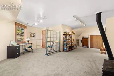 174 Needle Creek Road, Divide, CO 80814 - Photo 19