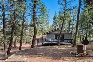 112 Denwood Dr, Florissant, CO 80816 - Photo 15