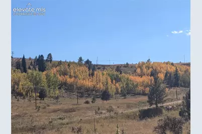 2272 County Road 1, Cripple Creek, CO 80813 - Photo 15