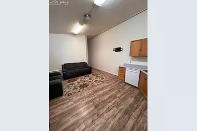 217 W Masonic Avenue, Cripple Creek, CO 80813 - Photo 23