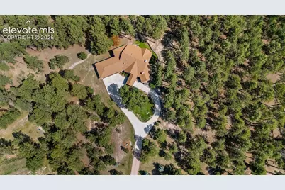 15984 Pole Pine Point, Colorado Springs, CO 80908 - Photo 39