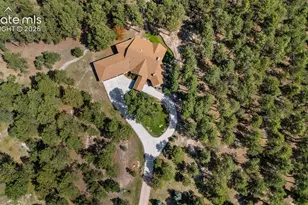15984 Pole Pine Point, Colorado Springs, CO 80908 - Photo 39