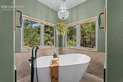 15984 Pole Pine Point, Colorado Springs, CO 80908 - Photo 23