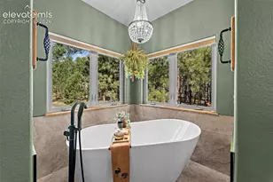 15984 Pole Pine Point, Colorado Springs, CO 80908 - Photo 23