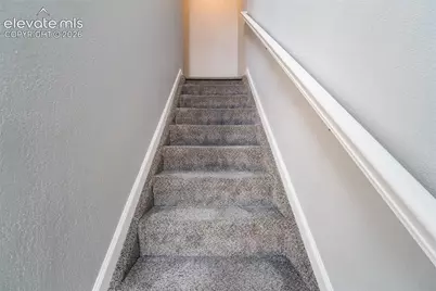 2653 Shannara Grove, Colorado Springs, CO 80951 - Photo 21