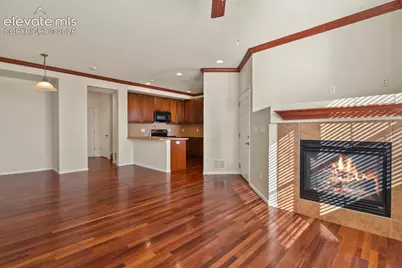 5425 Marco Alley, Colorado Springs, CO 80924 - Photo 7