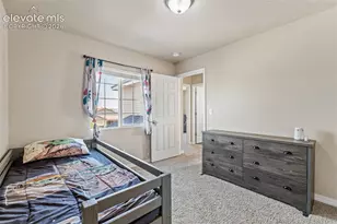 7830 Silver Birch Dr, Colorado Springs, CO 80927 - Photo 33