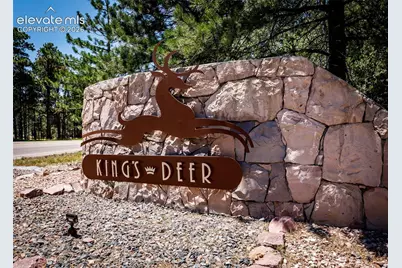 890 E Kings Deer Point, Monument, CO 80132 - Photo 45