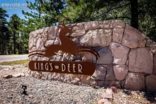 890 E Kings Deer Point, Monument, CO 80132 - Photo 45