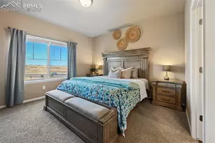 6646 Backcountry Loop, Colorado Springs, CO 80927 - Photo 13