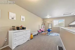 6646 Backcountry Loop, Colorado Springs, CO 80927 - Photo 21