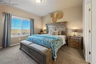 6646 Backcountry Loop, Colorado Springs, CO 80927 - Photo 13