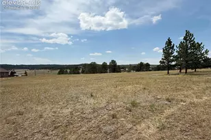350 High Pasture Rd, Florissant, CO 80816 - Photo 1