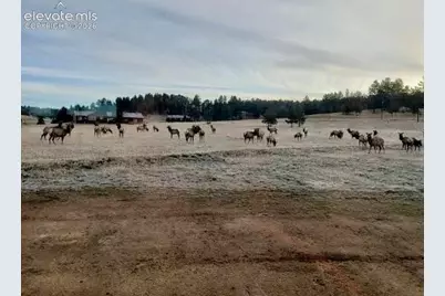 350 High Pasture Road, Florissant, CO 80816 - Photo 3