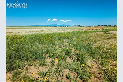 20449 Silverado Hill View, Colorado Springs, CO 80928 - Photo 9