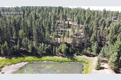 67 Gerka Lane, Florissant, CO 80816 - Photo 7