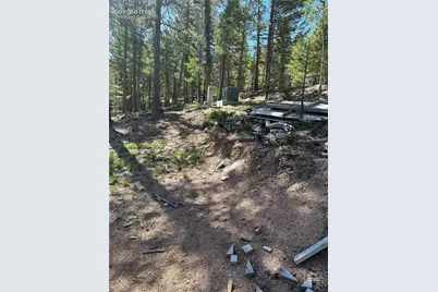 67 Gerka Lane, Florissant, CO 80816 - Photo 21