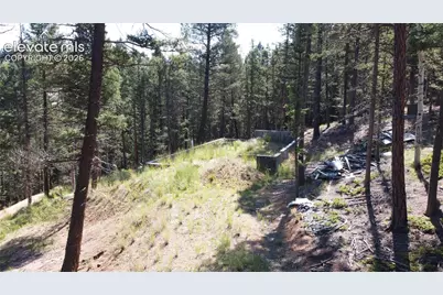 67 Gerka Lane, Florissant, CO 80816 - Photo 11