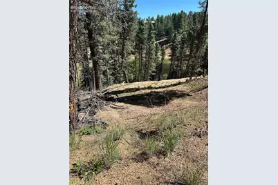 67 Gerka Lane, Florissant, CO 80816 - Photo 17