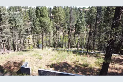 67 Gerka Lane, Florissant, CO 80816 - Photo 1