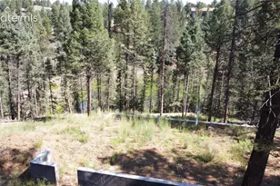 67 Gerka Ln, Florissant, CO 80816 - Photo 1