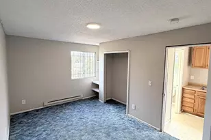 744 Winnepeg Dr, Colorado Springs, CO 80910 - Photo 11