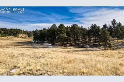 150 High Pasture Road, Florissant, CO 80816 - Photo 3