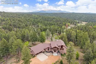 4267 Co Rd 51, Divide, CO 80814 - Photo 3