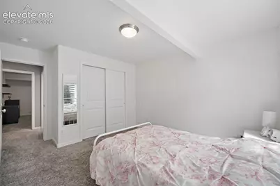 3117 Bright Moon Drive, Colorado Springs, CO 80908 - Photo 31