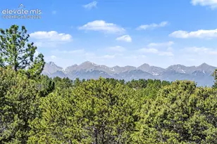 610 Matterhorn Circle, Westcliffe, CO 81252 - Photo 5