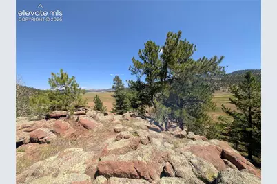 313 Elliott Drive, Florissant, CO 80816 - Photo 19