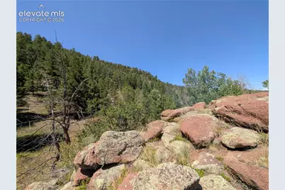 313 Elliott Drive, Florissant, CO 80816 - Photo 17
