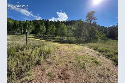 313 Elliott Drive, Florissant, CO 80816 - Photo 47