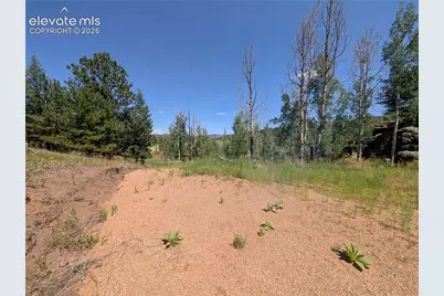 313 Elliott Drive, Florissant, CO 80816 - Photo 29
