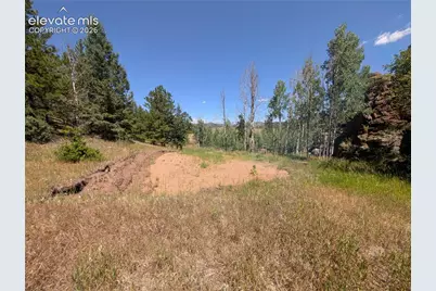 313 Elliott Drive, Florissant, CO 80816 - Photo 11