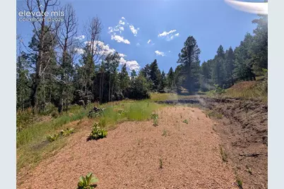 313 Elliott Drive, Florissant, CO 80816 - Photo 25