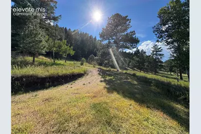 313 Elliott Drive, Florissant, CO 80816 - Photo 43